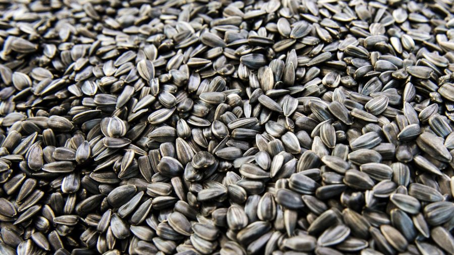 Exporturile de floarea-soarelui s-au redus cu aproape 20%! Spania cumpără ieftin, Turcia plătește premium