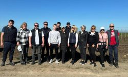 Împreună la castel, dar şi în câmp. Toată echipa Castel Mimi a plantat butaşi de viţă de vie lângă Speia