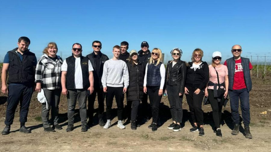 Împreună la castel, dar şi în câmp. Toată echipa Castel Mimi a plantat butaşi de viţă de vie lângă Speia