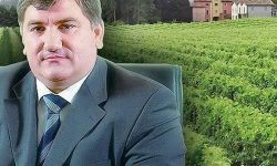 Guvernul toarnă 173 milioane de lei în afacerile nașului milionar al  unui fost deputat PD