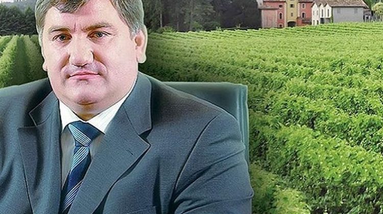 Guvernul toarnă 173 milioane de lei în afacerile nașului milionar al  unui fost deputat PD