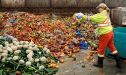În timp ce 1,8 milioane de moldoveni duc foame, 180.000 tone de alimente ajung la gunoi