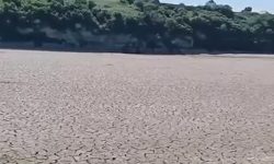 Râul Nistru, secat la Hotin! Ministrul Mediului, Lazarencu: Vom merge cu colegii din Ucraina la fața locului