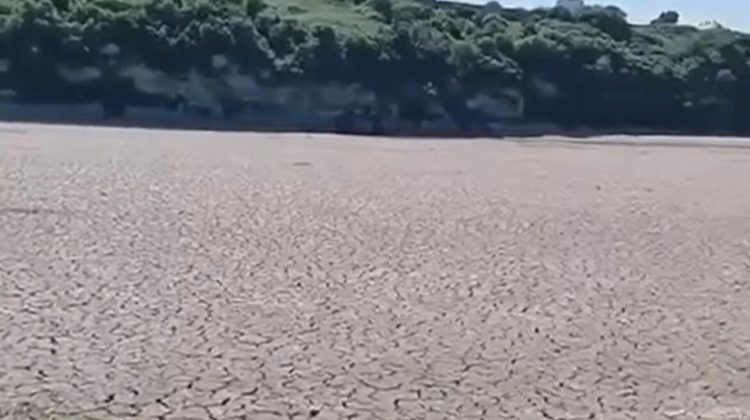 Râul Nistru, secat la Hotin! Ministrul Mediului, Lazarencu: Vom merge cu colegii din Ucraina la fața locului