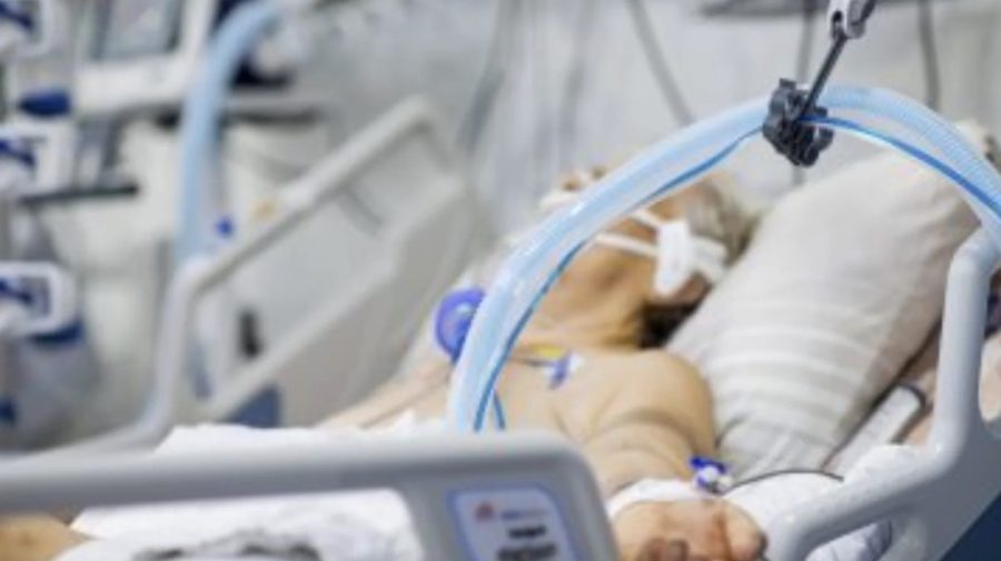 Mor pe capete în Moldova! Boala teribilă care face prăpăd. E de neoprit