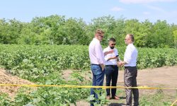 Ambasadorul României apreciază progresul în construcția liniei electrice aeriene 400kV Vulcănești-Chișinău