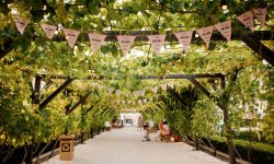 Petrece finalul de săptămână cu vin rose nelimitat şi muzică live!