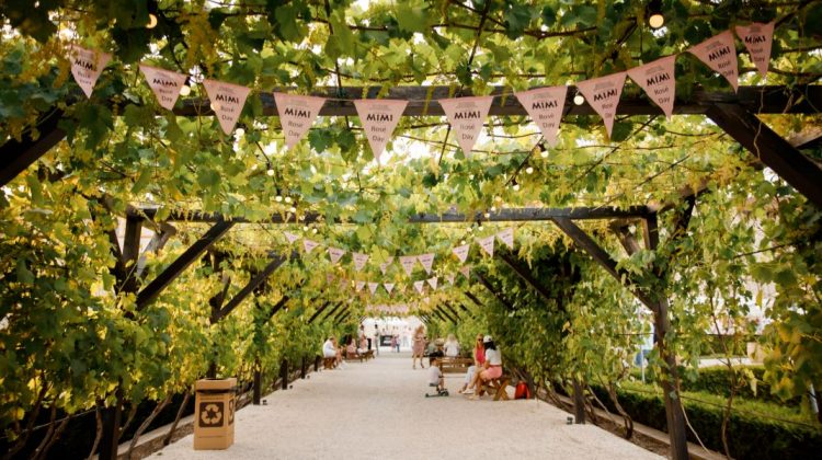 Petrece finalul de săptămână cu vin rose nelimitat şi muzică live!