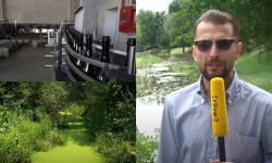 INVESTIGAȚIE VIDEO: „Râurile vinului moldovenesc”. Cum se adaptează industria vinicolă la cerințele ecologice moderne?