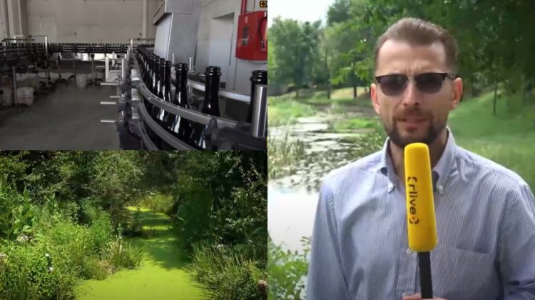 INVESTIGAȚIE VIDEO: „Râurile vinului moldovenesc”. Cum se adaptează industria vinicolă la cerințele ecologice moderne?