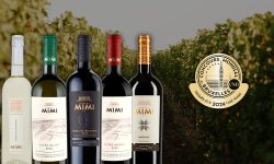 Concours Mondial de Bruxelles şi-a desemnat câştigătorii – 5 dintre vinurile Castel Mimi, medaliate cu aur