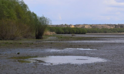 INVESTIGAȚIE VIDEO: Impactul extracției petrolului asupra lacului relicvă Beleu din Moldova