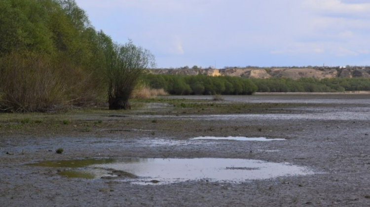 INVESTIGAȚIE VIDEO: Impactul extracției petrolului asupra lacului relicvă Beleu din Moldova