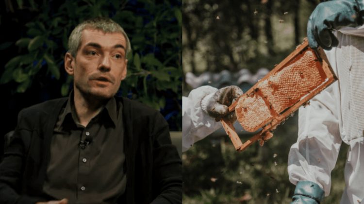 VIDEO Angrosiștii își bat joc de munca apicultorilor. Profită și vând moldovenilor miere contrafăcută la preț scump