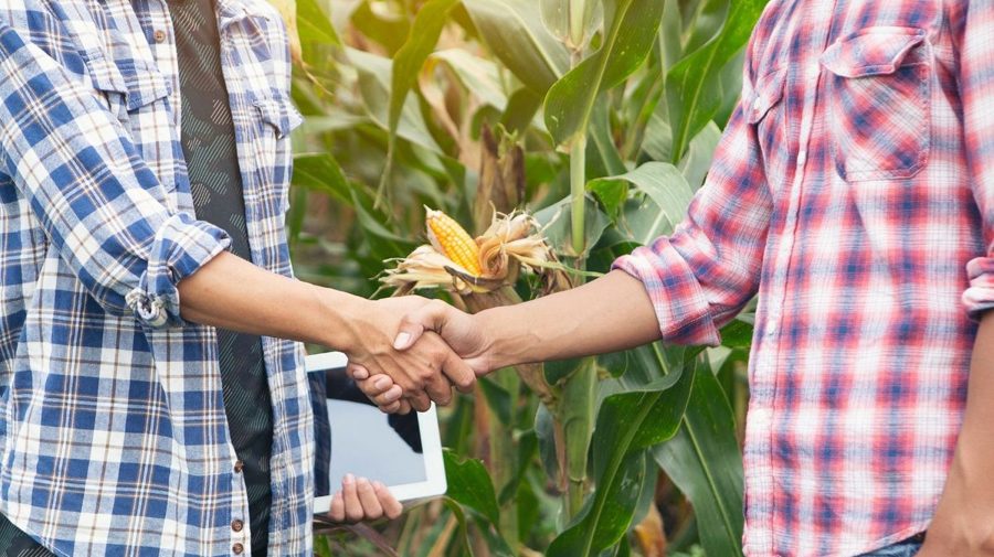 Controverse și îngrijorări: Înființarea Camerelor Agricole amenință fermierii mici