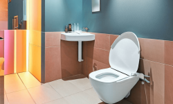 Cronometre deasupra toaletelor: Orașul turistic care cronometrizează timpul petrecut la baie