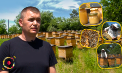 VIDEO A revenit de peste hotare pentru a deveni apicultor. Povestea unui tânăr din Leova