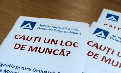 (VIDEO) ANOFM oferă sprijin pentru găsirea unui loc de muncă sigur și verificat