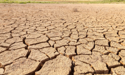 Dezastru pe câmpurile Moldovei. Exporturile s-au prăbușit, iar deficitul a trecut de 200 milioane de dolari