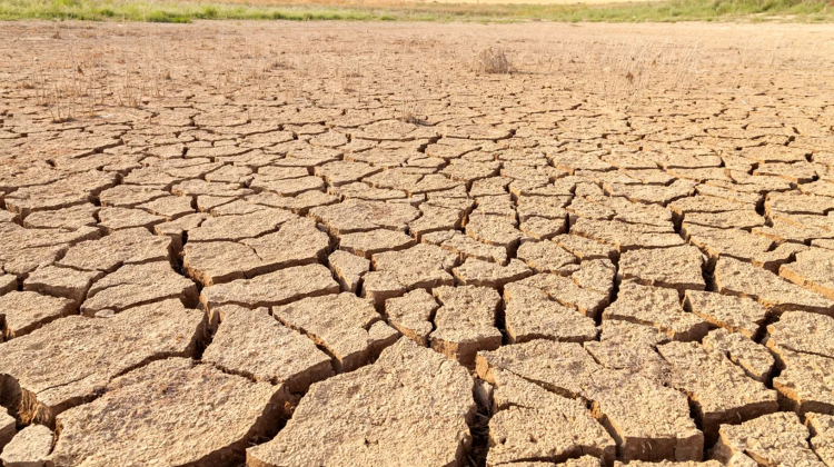 Dezastru pe câmpurile Moldovei. Exporturile s-au prăbușit, iar deficitul a trecut de 200 milioane de dolari