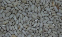 Mâncăm fasole de la alții! Moldova aproape că nu produce nimic