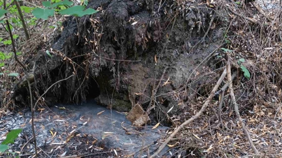 Mileștii Mici suspectată că a poluat râul Ișnovăț cu amoniu și săruri