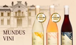 Castel Mimi se aliniază marilor producători de vinuri din lume care îmbuteliază vinul în sticle PET