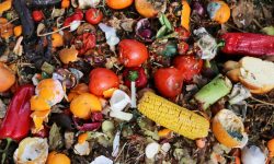 De la masă la gunoi! 40% din veniturile moldovenilor, risipite pe alimente neconsumate