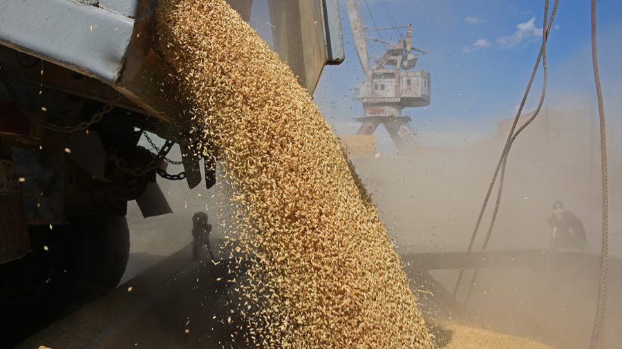 O companie face legea! A exportat o cincime din tot grâul țării