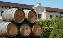 Vinurile şi frumuseţea Castel Mimi, apreciate de Ambasadorul Japoniei şi conaţionalii săi, aflaţi în vizită la castel