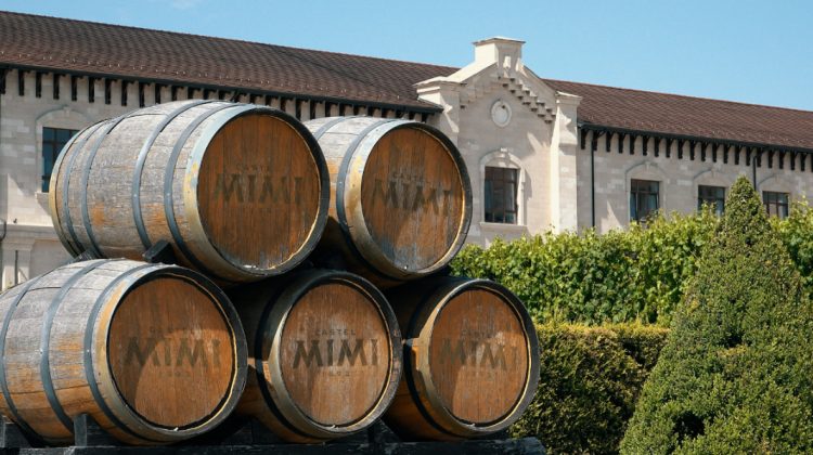 Vinurile şi frumuseţea Castel Mimi, apreciate de Ambasadorul Japoniei şi conaţionalii săi, aflaţi în vizită la castel