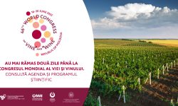 Au mai rămas două zile până la cel mai prestigios eveniment dedicat vinului. Consultă agenda Congresului Mondial al Viei și Vinului