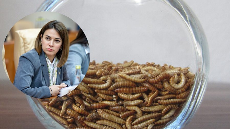 BREAKING GÂNDAC! Larvele de făină intră oficial în pâine, porridge și batoane! Bon appétit, Moldova