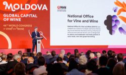 A început Congresul Mondial al Viei și Vinului. Sute de specialiști discută despre viitorul industriei vitivinicole