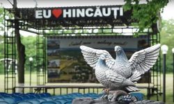 Campania „Natura nu ne cere să fim geniali, e suficient să fim raționali” a ajuns și la Hincăuți, Edineț