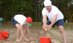 Dictatura porțiilor: cartoful, raționalizat de Lukașenko