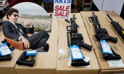 Radu Marian –  când funcționarii o dau cu pistolul, el o drege cu tastatura