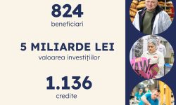 5 miliarde pentru doar 1,2% din IMM-uri! Programul 373, sprijin masiv cu acoperire minimă