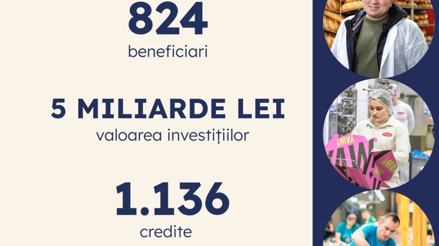 5 miliarde pentru doar 1,2% din IMM-uri! Programul 373, sprijin masiv cu acoperire minimă