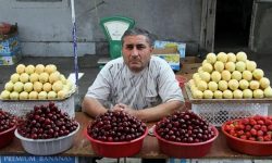 Ambalaje suspecte și molii imaginare – cum justifică Rusia noul embargou la adresa Azerbaidjanului