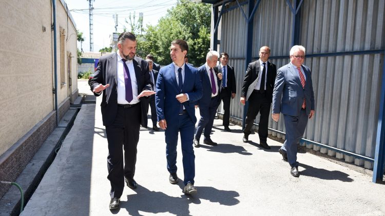 „Baronul laptelui” din Moldova, afaceri de 80 milioane de euro în Kazahstan