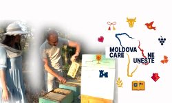 VIDEO Apicultura din tată-n fiu. Cum reușesc soții Miron să ducă mai departe tradiția familiei