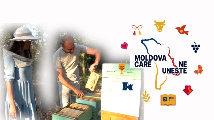 VIDEO Apicultura din tată-n fiu. Cum reușesc soții Miron să ducă mai departe tradiția familiei