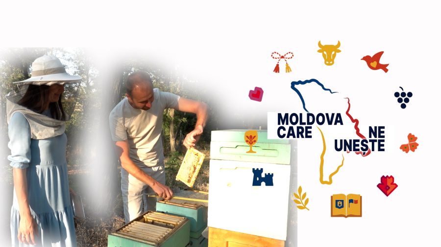 VIDEO Apicultura din tată-n fiu. Cum reușesc soții Miron să ducă mai departe tradiția familiei