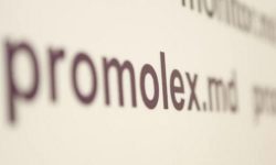 Promo-Lex: unii candidați la alegeri au început campania electorală înainte de termenul legal