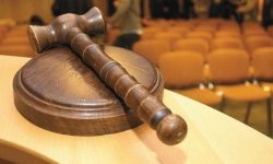 Licitație record: 255 ha de teren la Edineț adjudecate cu 1,76 milioane lei