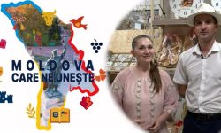 VIDEO Un fost polițist și o designeră creează artă din lemn și lut. Povestea soților Staver