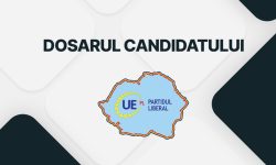 Dosarul Candidatului: Partidul Liberal