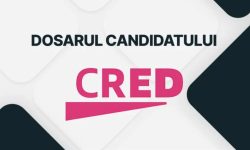 Dosarul Candidatului: Olesea Stamate, candidat independent