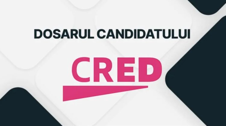 Dosarul Candidatului: Olesea Stamate, candidat independent